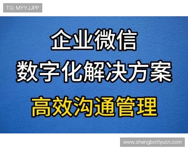 艺博体育推动体育产业数字化转型,助力企业实现高效运营与品牌提升 艺博体育推动体育产业数字化转型,助力企业实现高效运营与品牌提升