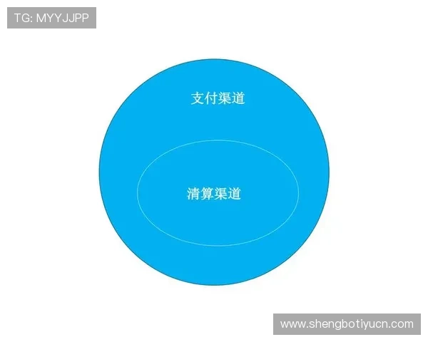 多米体育官网支付方式多样化，支持多种便捷支付渠道满足不同用户需求