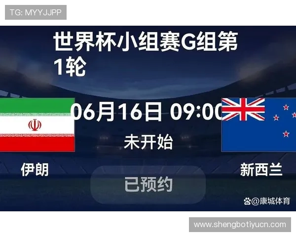 世界杯伊朗vs新西兰比赛观赛注意事项及应急处理方案全景介绍